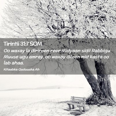 Picture 02 - Tirintii 31:7 SOM - Oo waxay la dirireen reer Midyaan sidii Rabbigu - Bible Verse Picture