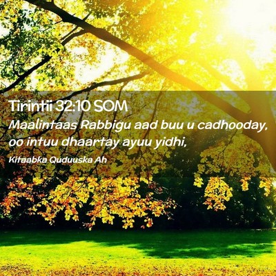 Picture 02 - Tirintii 32:10 SOM - Maalintaas Rabbigu aad buu u cadhooday, oo intuu - Bible Verse Picture
