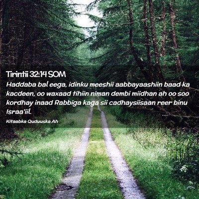 Picture 02 - Tirintii 32:14 SOM - Haddaba bal eega, idinku meeshii aabbayaashiin - Bible Verse Picture