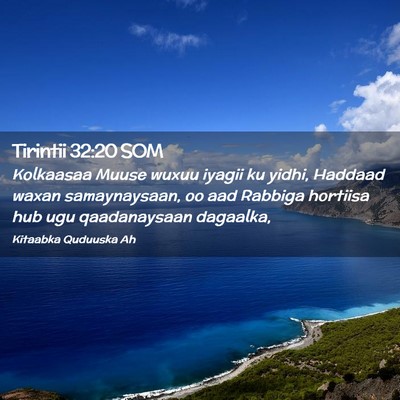 Picture 02 - Tirintii 32:20 SOM - Kolkaasaa Muuse wuxuu iyagii ku yidhi, Haddaad - Bible Verse Picture