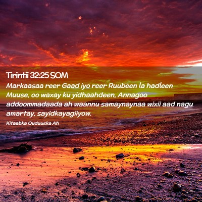 Picture 02 - Tirintii 32:25 SOM - Markaasaa reer Gaad iyo reer Ruubeen la hadleen - Bible Verse Picture