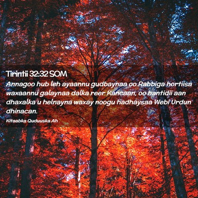 Picture 02 - Tirintii 32:32 SOM - Annagoo hub leh ayaannu gudbaynaa oo Rabbiga - Bible Verse Picture
