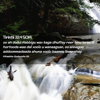 Picture 02 - Tirintii 32:4 SOM - oo ah dalkii Rabbigu wax kaga dhuftay reer binu - Bible Verse Picture