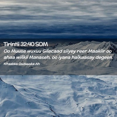 Picture 02 - Tirintii 32:40 SOM - Oo Muuse wuxuu Gilecaad siiyey reer Maakiir oo - Bible Verse Picture