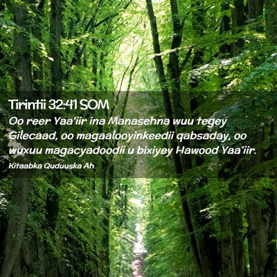 Picture 02 - Tirintii 32:41 SOM - Oo reer Yaa'iir ina Manasehna wuu tegey Gilecaad, - Bible Verse Picture