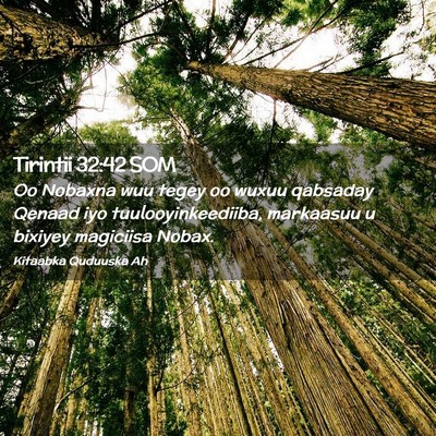 Picture 02 - Tirintii 32:42 SOM - Oo Nobaxna wuu tegey oo wuxuu qabsaday Qenaad iyo - Bible Verse Picture