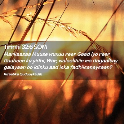 Picture 02 - Tirintii 32:6 SOM - Markaasaa Muuse wuxuu reer Gaad iyo reer Ruubeen - Bible Verse Picture