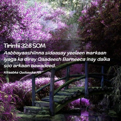 Picture 02 - Tirintii 32:8 SOM - Aabbayaashiinna sidaasay yeeleen markaan iyaga ka - Bible Verse Picture