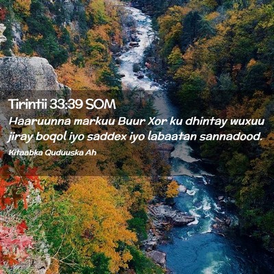 Picture 02 - Tirintii 33:39 SOM - Haaruunna markuu Buur Xor ku dhintay wuxuu jiray - Bible Verse Picture