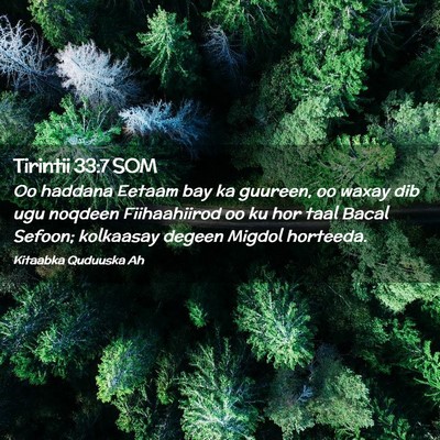 Picture 02 - Tirintii 33:7 SOM - Oo haddana Eetaam bay ka guureen, oo waxay dib - Bible Verse Picture