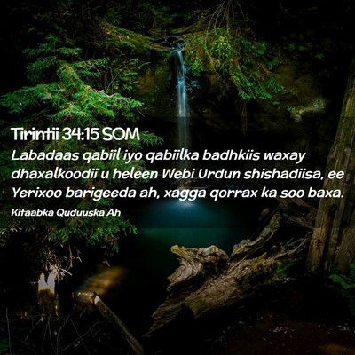 Picture 02 - Tirintii 34:15 SOM - Labadaas qabiil iyo qabiilka badhkiis waxay - Bible Verse Picture