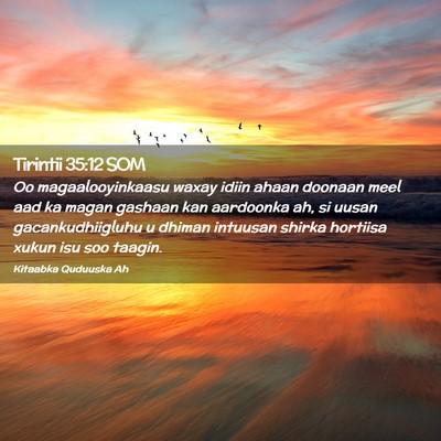 Picture 02 - Tirintii 35:12 SOM - Oo magaalooyinkaasu waxay idiin ahaan doonaan - Bible Verse Picture