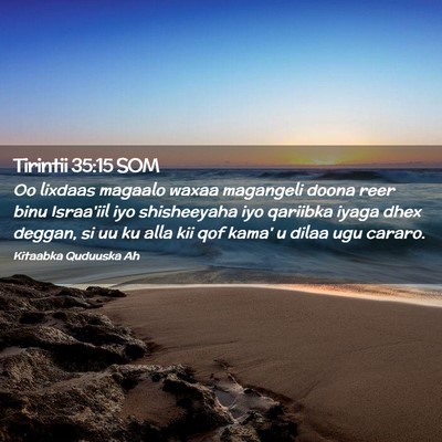 Picture 02 - Tirintii 35:15 SOM - Oo lixdaas magaalo waxaa magangeli doona reer - Bible Verse Picture