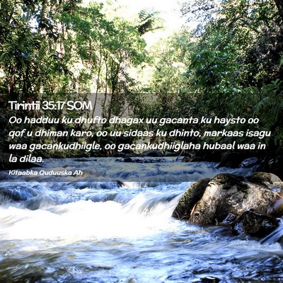 Picture 02 - Tirintii 35:17 SOM - Oo hadduu ku dhufto dhagax uu gacanta ku haysto - Bible Verse Picture