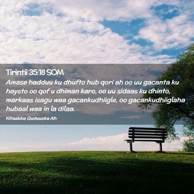 Picture 02 - Tirintii 35:18 SOM - Amase hadduu ku dhufto hub qori ah oo uu gacanta - Bible Verse Picture