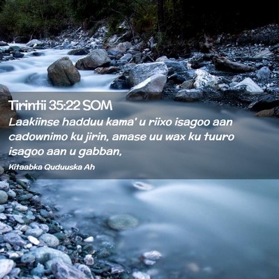 Picture 02 - Tirintii 35:22 SOM - Laakiinse hadduu kama' u riixo isagoo aan - Bible Verse Picture