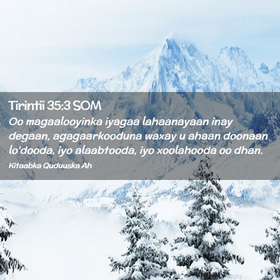 Picture 02 - Tirintii 35:3 SOM - Oo magaalooyinka iyagaa lahaanayaan inay degaan, - Bible Verse Picture