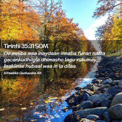 Picture 02 - Tirintii 35:31 SOM - Oo weliba waa inaydaan innaba furan nafta - Bible Verse Picture
