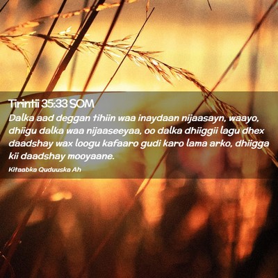 Picture 02 - Tirintii 35:33 SOM - Dalka aad deggan tihiin waa inaydaan nijaasayn, - Bible Verse Picture