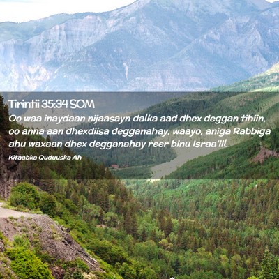 Picture 02 - Tirintii 35:34 SOM - Oo waa inaydaan nijaasayn dalka aad dhex deggan - Bible Verse Picture