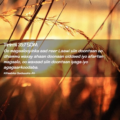 Picture 02 - Tirintii 35:7 SOM - Oo magaalooyinka aad reer Laawi siin doontaan oo - Bible Verse Picture