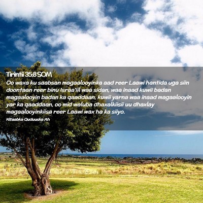 Picture 02 - Tirintii 35:8 SOM - Oo waxa ku saabsan magaalooyinka aad reer Laawi - Bible Verse Picture