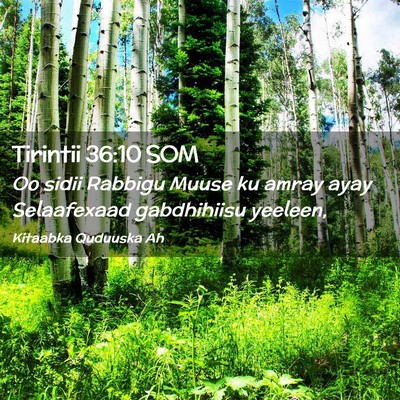 Picture 02 - Tirintii 36:10 SOM - Oo sidii Rabbigu Muuse ku amray ayay Selaafexaad - Bible Verse Picture