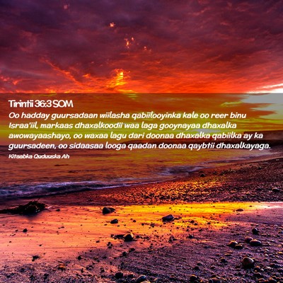 Picture 02 - Tirintii 36:3 SOM - Oo hadday guursadaan wiilasha qabiilooyinka kale - Bible Verse Picture