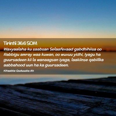 Picture 02 - Tirintii 36:6 SOM - Waxyaalaha ku saabsan Selaafexaad gabdhihiisa oo - Bible Verse Picture