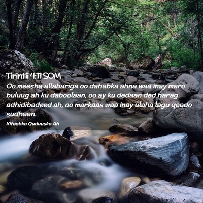 Picture 02 - Tirintii 4:11 SOM - Oo meesha allabariga oo dahabka ahna waa inay - Bible Verse Picture