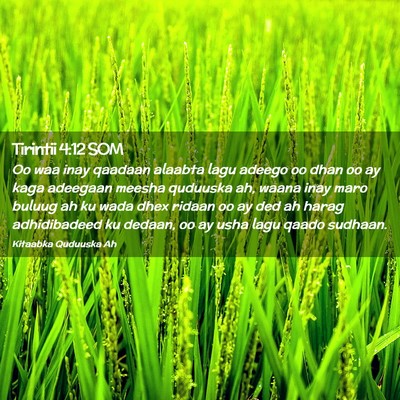Picture 02 - Tirintii 4:12 SOM - Oo waa inay qaadaan alaabta lagu adeego oo dhan - Bible Verse Picture