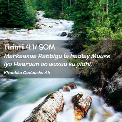 Picture 02 - Tirintii 4:17 SOM - Markaasaa Rabbigu la hadlay Muuse iyo Haaruun oo - Bible Verse Picture