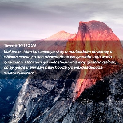 Picture 02 - Tirintii 4:19 SOM - laakiinse sidan ku sameeya si ay u noolaadaan oo - Bible Verse Picture