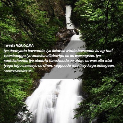 Picture 02 - Tirintii 4:26 SOM - iyo daahyada barxadda, iyo ilxidhka iridda - Bible Verse Picture