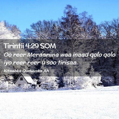 Picture 02 - Tirintii 4:29 SOM - Oo reer Meraariina waa inaad qolo qolo iyo reer - Bible Verse Picture