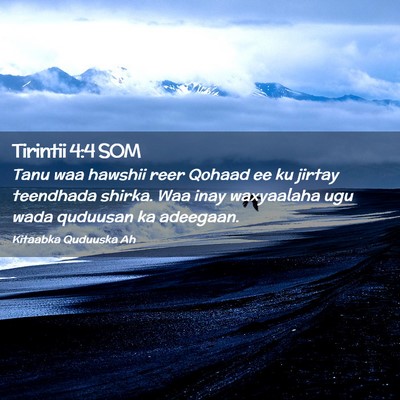 Picture 02 - Tirintii 4:4 SOM - Tanu waa hawshii reer Qohaad ee ku jirtay - Bible Verse Picture