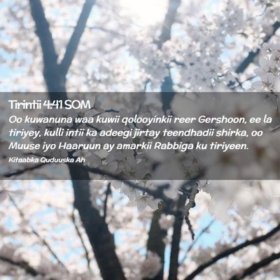 Picture 02 - Tirintii 4:41 SOM - Oo kuwanuna waa kuwii qolooyinkii reer Gershoon, - Bible Verse Picture