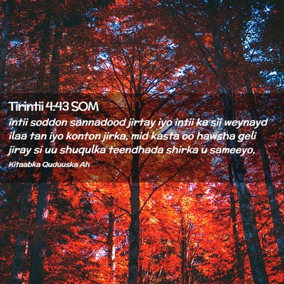 Picture 02 - Tirintii 4:43 SOM - intii soddon sannadood jirtay iyo intii ka sii - Bible Verse Picture
