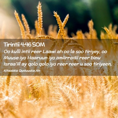 Picture 02 - Tirintii 4:46 SOM - Oo kulli intii reer Laawi ah oo la soo tiriyey, - Bible Verse Picture