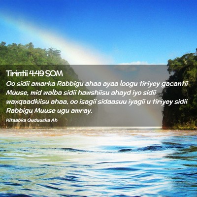 Picture 02 - Tirintii 4:49 SOM - Oo sidii amarka Rabbigu ahaa ayaa loogu tiriyey - Bible Verse Picture