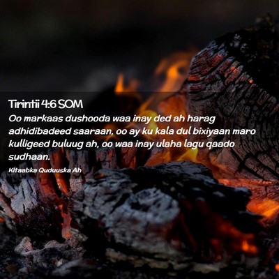 Picture 02 - Tirintii 4:6 SOM - Oo markaas dushooda waa inay ded ah harag - Bible Verse Picture