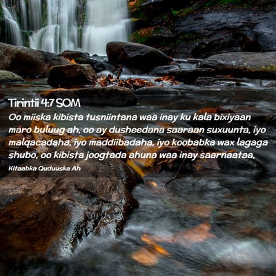 Picture 02 - Tirintii 4:7 SOM - Oo miiska kibista tusniintana waa inay ku kala - Bible Verse Picture