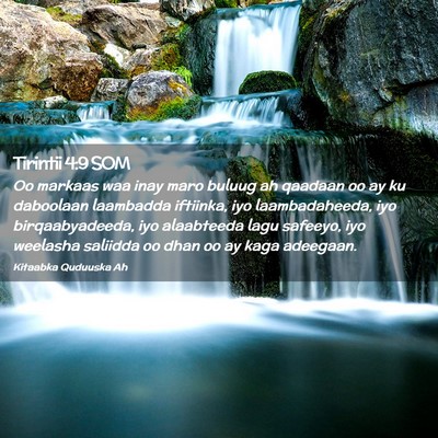 Picture 02 - Tirintii 4:9 SOM - Oo markaas waa inay maro buluug ah qaadaan oo ay - Bible Verse Picture
