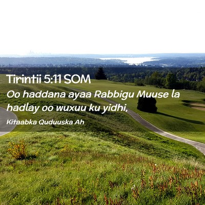 Picture 02 - Tirintii 5:11 SOM - Oo haddana ayaa Rabbigu Muuse la hadlay oo wuxuu - Bible Verse Picture