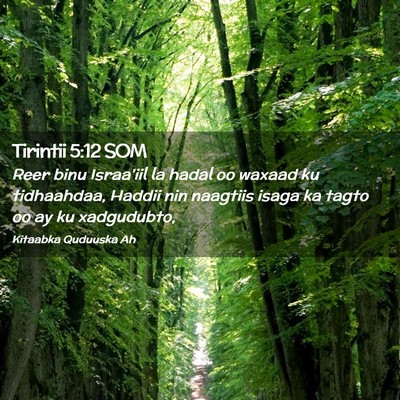 Picture 02 - Tirintii 5:12 SOM - Reer binu Israa'iil la hadal oo waxaad ku - Bible Verse Picture