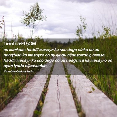 Picture 02 - Tirintii 5:14 SOM - oo markaas haddii masayr ku soo dego ninka oo uu - Bible Verse Picture
