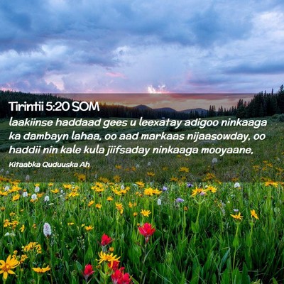 Picture 02 - Tirintii 5:20 SOM - laakiinse haddaad gees u leexatay adigoo ninkaaga - Bible Verse Picture