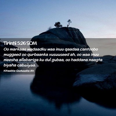 Picture 02 - Tirintii 5:26 SOM - Oo markaas wadaadku waa inuu qaadaa cantoobo - Bible Verse Picture