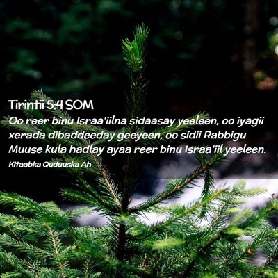 Picture 02 - Tirintii 5:4 SOM - Oo reer binu Israa'iilna sidaasay yeeleen, oo - Bible Verse Picture