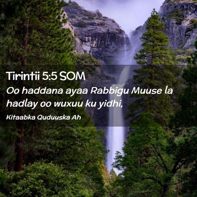 Picture 02 - Tirintii 5:5 SOM - Oo haddana ayaa Rabbigu Muuse la hadlay oo wuxuu - Bible Verse Picture